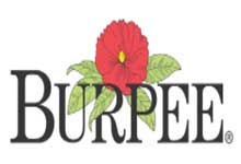 Burpee logo